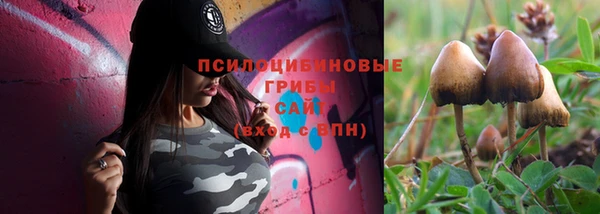 марки nbome Белокуриха