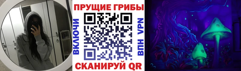 площадка формула  Мглин  Псилоцибиновые грибы мухоморы  наркошоп 